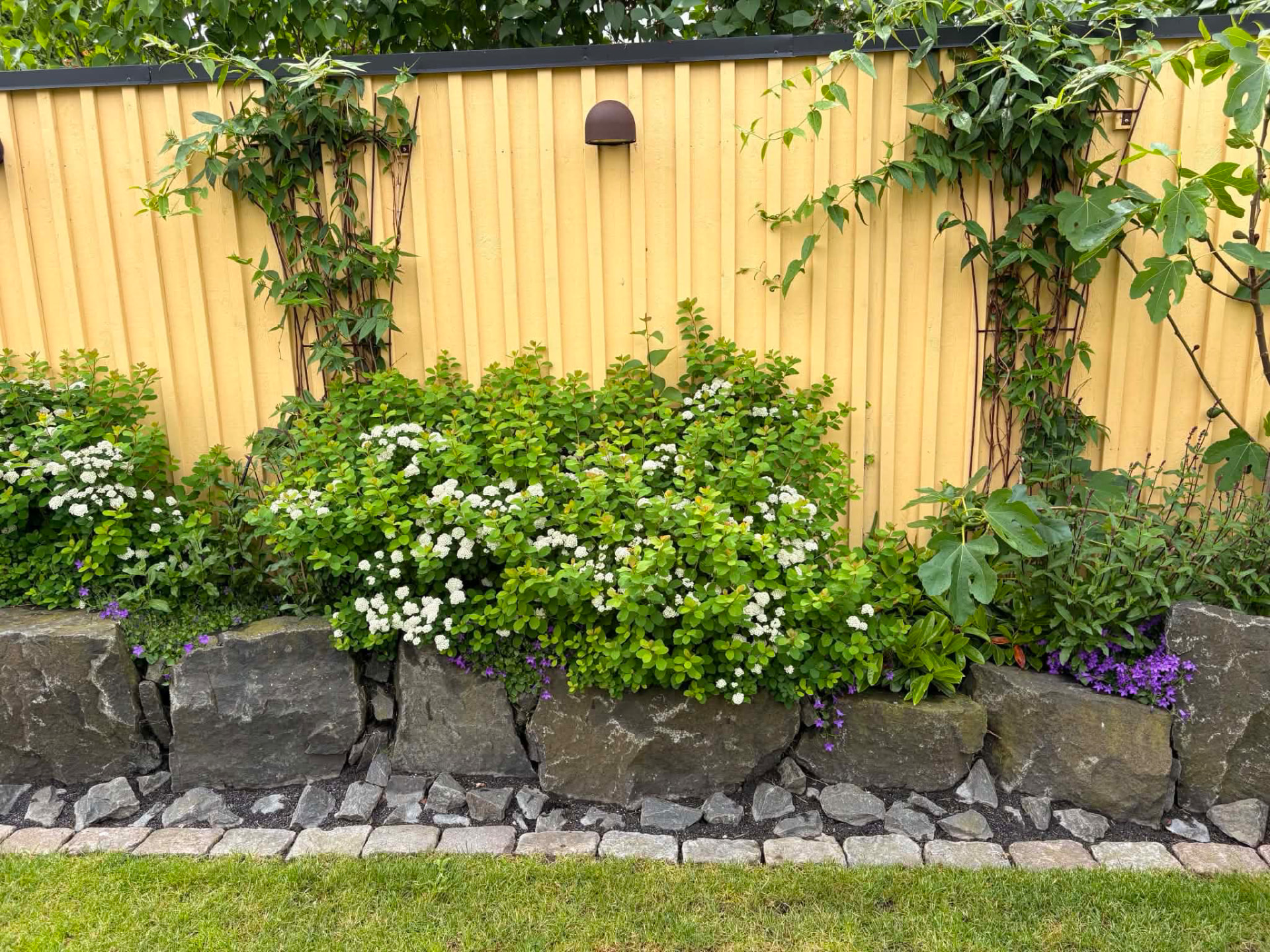 Trädgårdsdesign