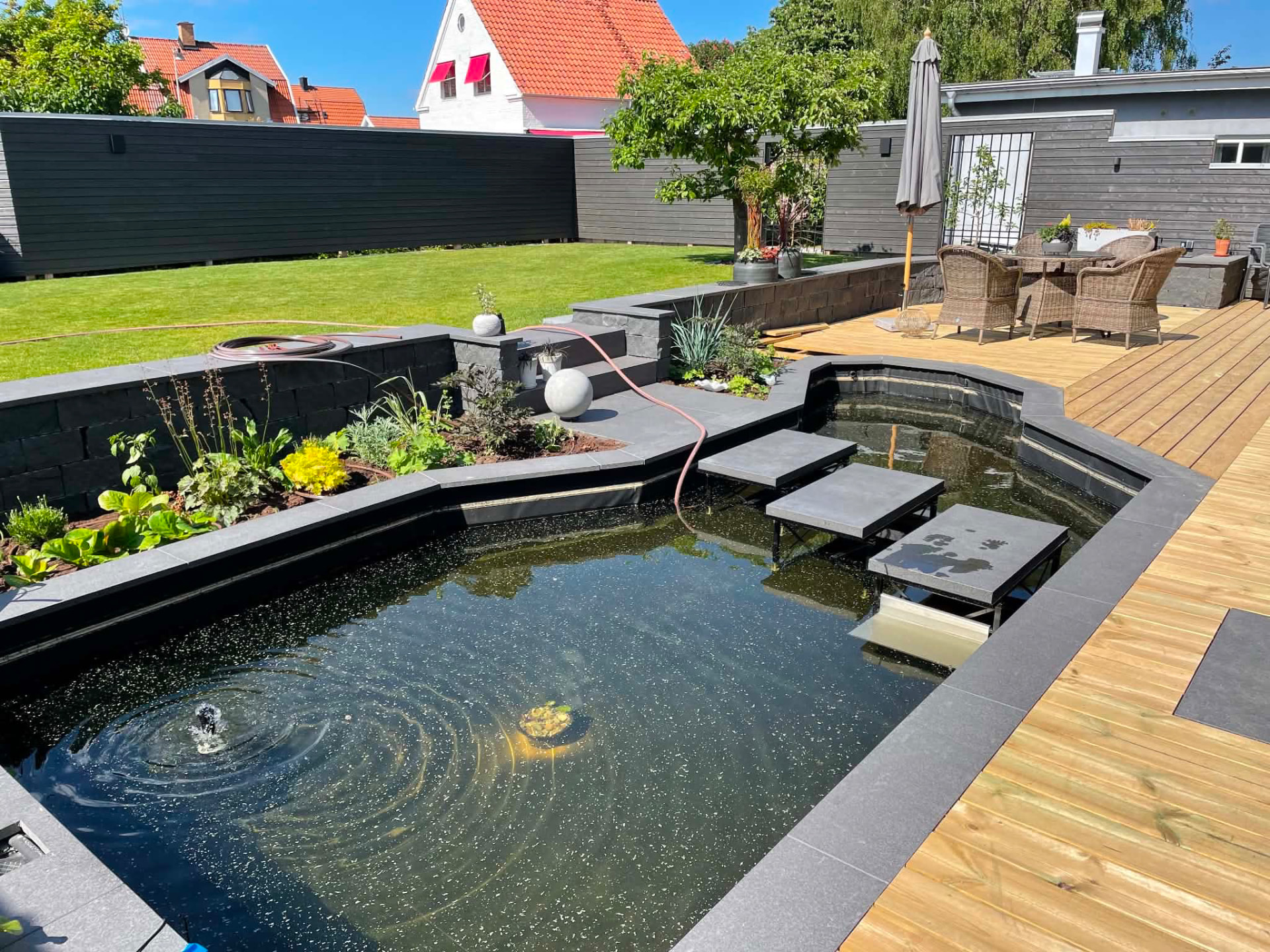 Dammar
